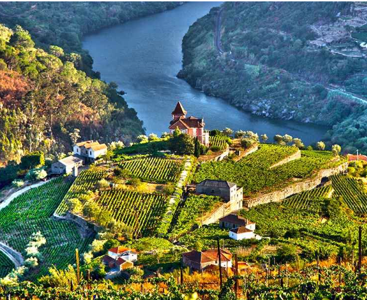 AMAWATERWAYS AMADOURO ile DOURO NEHRİ 
