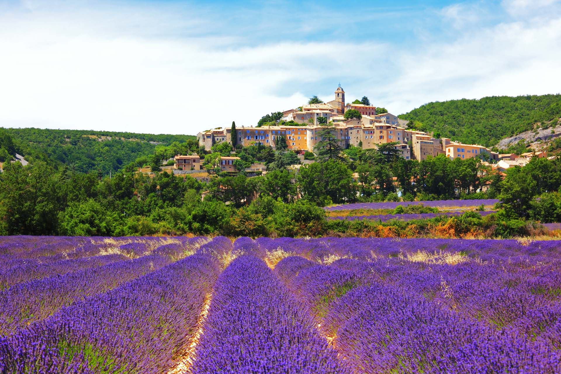 LAVANTA ZAMANI  FRANSA CÔTE D'AZUR & PROVENCE